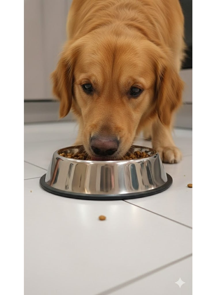 نونبيل وعاء طعام بيضاوي الشكل للكلاب من الفولاذ المقاوم للصدأ من نونبيل بقاعدة مانعة للانزلاق، 30 سم - Image 2